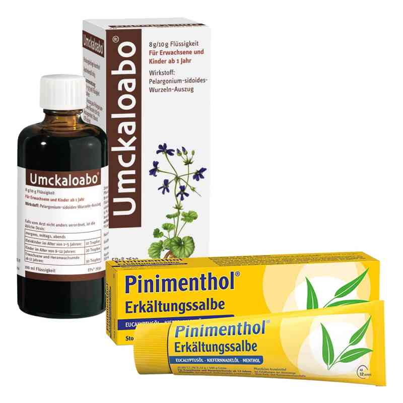 Umckaloabo + Pinimenthol Erkältungssalbe 1 stk von Dr.Willmar Schwabe GmbH & Co.K PZN 08100273