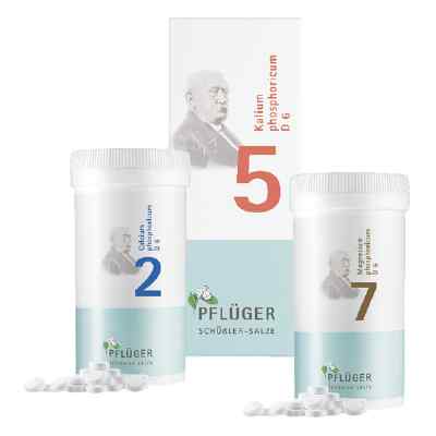 Energie-Plus-Kombi von Pflüger 1 stk von A.Pflüger GmbH & Co. KG PZN 08100543