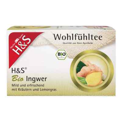 H&s Ingwer Filterbeutel 20X2.0 g von H&S Tee - Gesellschaft mbH & C PZN 06582405