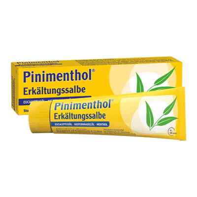 Pinimenthol Erkältungssalbe 50 g von Dr.Willmar Schwabe GmbH & Co.K PZN 07779966