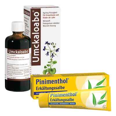 Umckaloabo + Pinimenthol Erkältungssalbe 1 stk von Dr.Willmar Schwabe GmbH & Co.K PZN 08100273